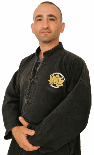 kungfu dragona maestro